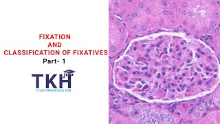 Fixation and Classification of Fixatives Part 1  Properties of fixative  Histopathology  DMLT [upl. by Aicssej]