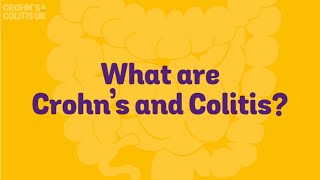 What are Crohns and Colitis [upl. by Ainocal]