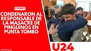 Chubut Condenaron al responsable de la masacre de pingüinos de Magallanes en Punta Tombo [upl. by Signe]