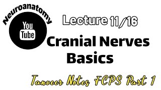 Cranial nerves Basics Lecture  1116 [upl. by Oleta]