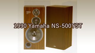 1990 Yamaha NS500YST [upl. by Kerby]