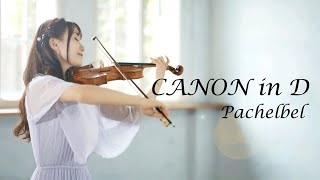 Canon in D Pachelbel AYAKO ISHIKAWA パッヘルベルのカノン 石川綾子 [upl. by Nuawd]