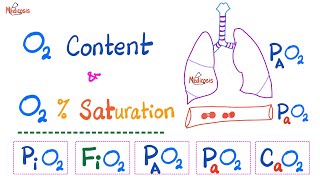 Oxygen Content  Oxygen Saturation SaO2   Oxygen Partial Pressure  Respiratory Physiology [upl. by Norris]