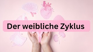 Der weibliche Zyklus  kurz erklärt [upl. by Ennahtebazile]