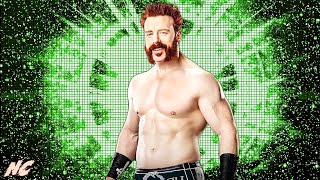 WWE quotWritten In My Facequot w Hellfire Intro Sheamus 2024 NEW Theme Song Arena Effect  ᴴᴰ [upl. by Damahom956]