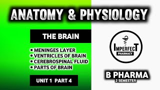 Brain  Parts Of Brain  Meninges  Ventricles Of Brain  Human Anatomy And Physiology  B Pharma [upl. by Aggappe372]