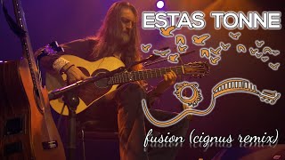 Estas Tonne  Fusion 2024 Cignus Remix [upl. by Osnola]