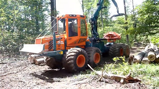 🌲🌲🌲 Best of KWF Tagung 2012 Bopfingen 🌲🌲🌲 [upl. by Eisdnyl]