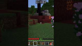 I found a ring portal in Minecraft😳😯 shorts [upl. by Atse]