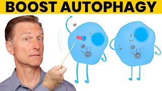 The 7 Powerful Ways to Increase Autophagy [upl. by Neelrac]