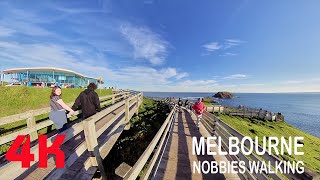 Phillip Island Nobbies Walking Tour  Melbourne 4K [upl. by Harewood913]