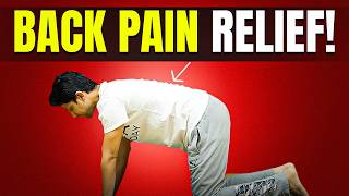 Daily Exercise for BACK PAIN  15Min Workout at home  Saurabh Bothra [upl. by Mylor]