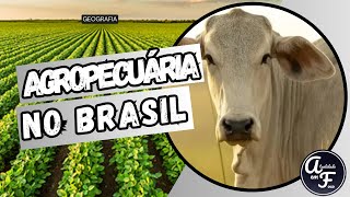 AGRICULTURA E PECUÁRIA NO BRASIL GEOGRAFIA [upl. by Letreece]