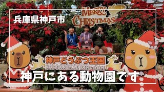 神戸どうぶつ王国に行ってきました【兵庫県神戸市】 [upl. by Kato]