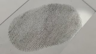 How to dust and lift a fingerprint [upl. by Austen]