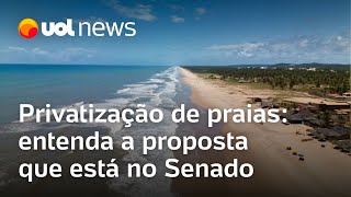 Privatização de praias entenda o que muda com proposta que está no Senado [upl. by Ralston]