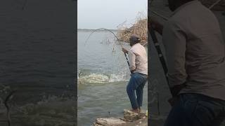 Hook fishing 🎣 unique style catching big rohu fish in the river [upl. by Bucher319]