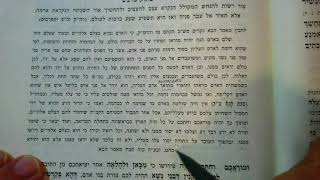 ZOHAR PARSHAT NOACH Rabbi Shimon Bar Yochai Pirush Matok Mdvash sweeter than Honey 28 Iyar 5785 [upl. by Fawn]