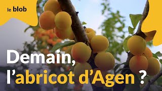 Agriculture française  les défis du changement climatique expliqués par Serge Zaka  interview [upl. by Nyrrat]