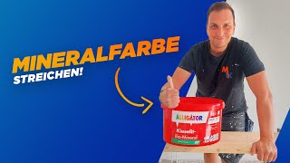 Kein Schimmel mehr in der Wohnung Mit diesen Tipps streichen wir BIO  Mineralfarbe [upl. by Derwood]