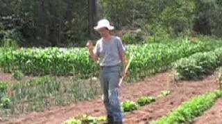 Easy Vegetable Gardening [upl. by Castora]