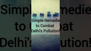 Simple Remedies to combat Delhis pollution to save health [upl. by Ailime]