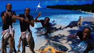 Spearfishing in Paradise a lovely year of hunting the great barracuda 🇯🇲 [upl. by Nnylanna]