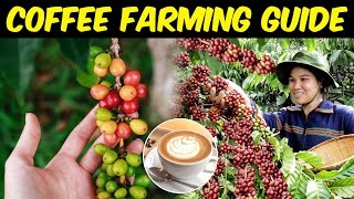 Coffee Farming  Everything You Need To Know About Coffee Cultivation [upl. by Bauer]