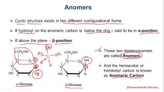 LEC 12  Cyclic Structure of Monosaccharides Anomers Cyclization of Glucose and Fructose [upl. by Birch]