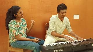 Nee Partha Parvaikkoru Nandri Cover Version  Hey Ram  Ilayaraja song  Mr Zebra Keys [upl. by Aiehtela37]