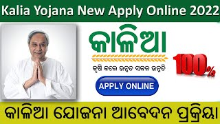 Kalia Yojana New Apply Online 2022 Full Process  kalia yojana new apply 2022 [upl. by Weatherby]