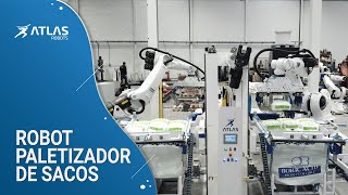 Robot paletizador de sacos doble con conformador [upl. by Donegan]