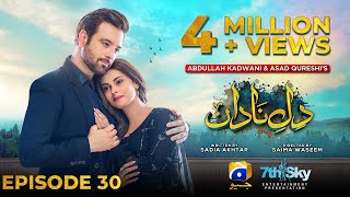 DileNadan Episode 30  Eng Sub  Mikaal Zulfiqar  Amar Khan  Ali Abbas  25th November 2024 [upl. by Treacy]