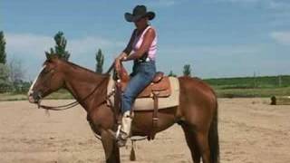 How To Ride Your Horse With Unshakable Confidence [upl. by Hagen]