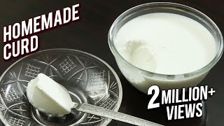 Homemade Curd Recipe  Tips amp Tricks To Make Curd At Home  Basic Cooking  Ruchi [upl. by Yhtamit683]