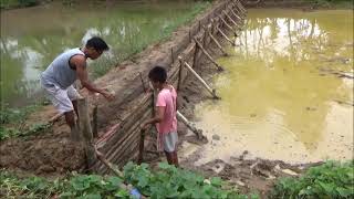 Transplanting Bamboo And Putting In The Overflow Net [upl. by Towney]