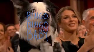 Bingo Bingo Baby [upl. by Novyart991]