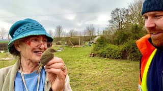 Chiffchaff  A Beautiful Warbler Explained [upl. by Assiralc]