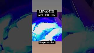 Levante anterior [upl. by Asenej676]