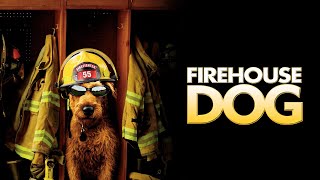 Firehouse Dog Full Movie Fact in Hindi  Hollywood Movie Story  Josh Hutcherson [upl. by Jewelle]