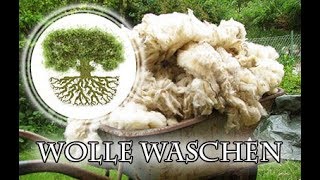 Wolle waschen Wollwäsche mit Rohwolle vom Schaf  Spinnereien mit Wolle [upl. by Ley]