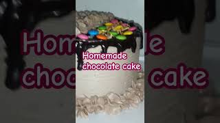 Homemade chocolate cake [upl. by Granville]