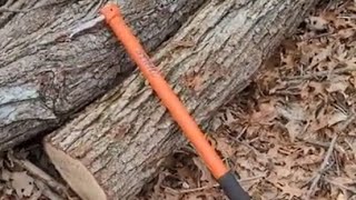 Stihl Hookaroon Review After 4 years [upl. by Hurff384]