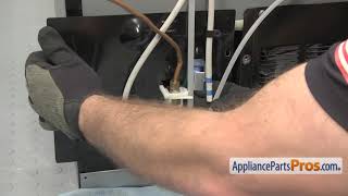 How To WhirlpoolKitchenAidMaytag Dual Water Inlet Valve WP67006531 [upl. by Aicirtal]