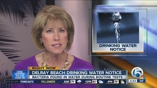 Coliform bacteria found in Delray Beach water [upl. by Einreb851]