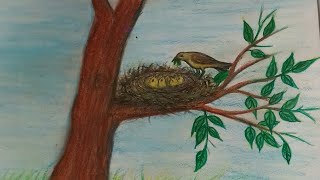 How to draw a nest with bird [upl. by Ty]