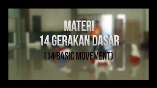 14 GERAKAN DASAR 14 BASIC MOVEMENT TAEKWONDO [upl. by Lanie]