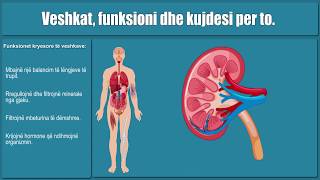 Veshkat funksioni dhe kujdesi per to [upl. by Holtorf]