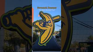 Savannah Bananas Baseball  Fun for all [upl. by Okoyik]