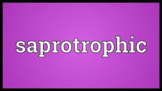 Saprotrophic Meaning [upl. by Iolenta546]